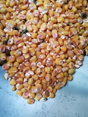 去丝瓜视频成人污版藥種子包衣外皮去皮機